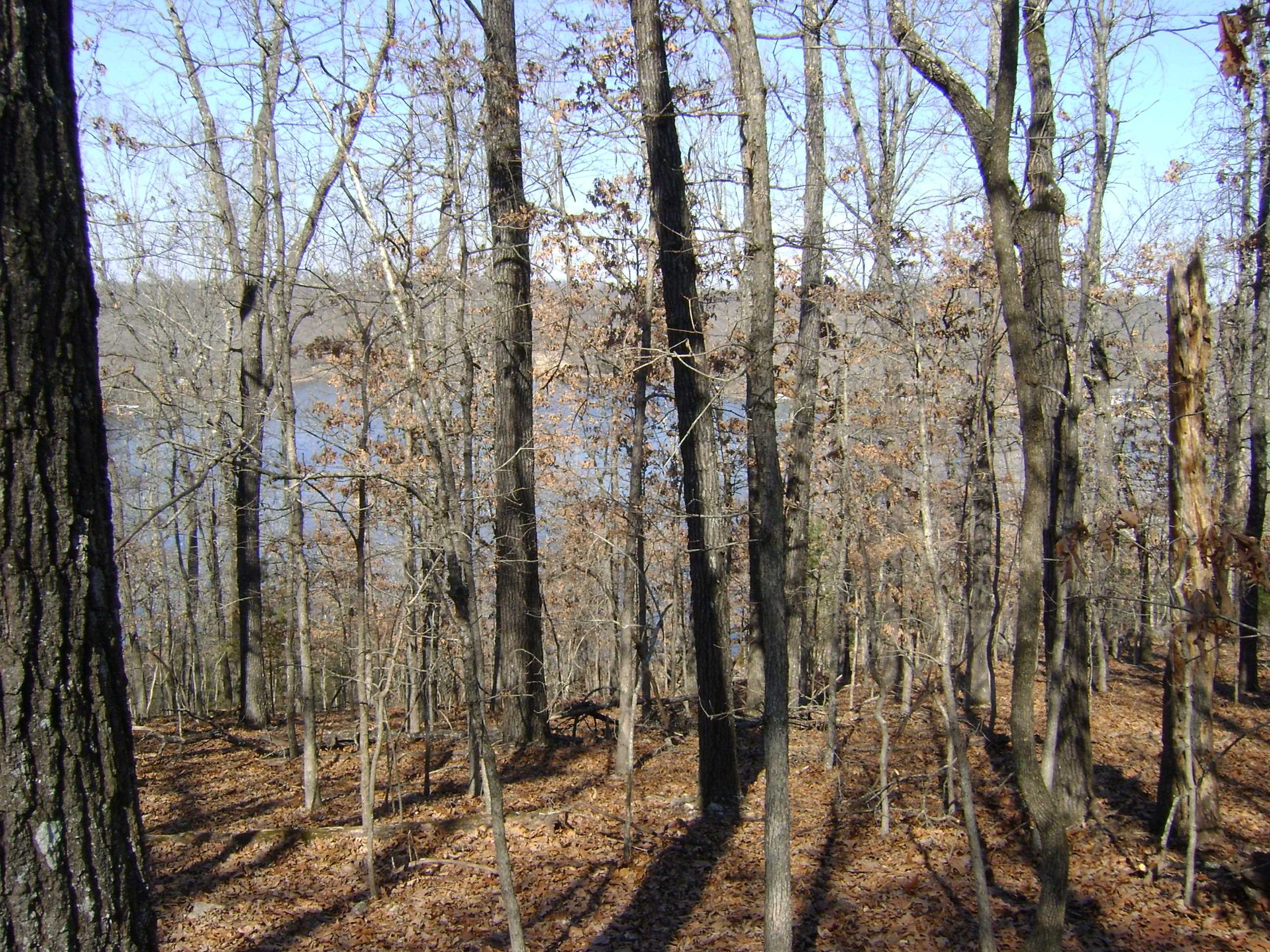 Photo 15 - Vacant Land for sale – 1301  View Park Circle   Horseshoe Bend, AR