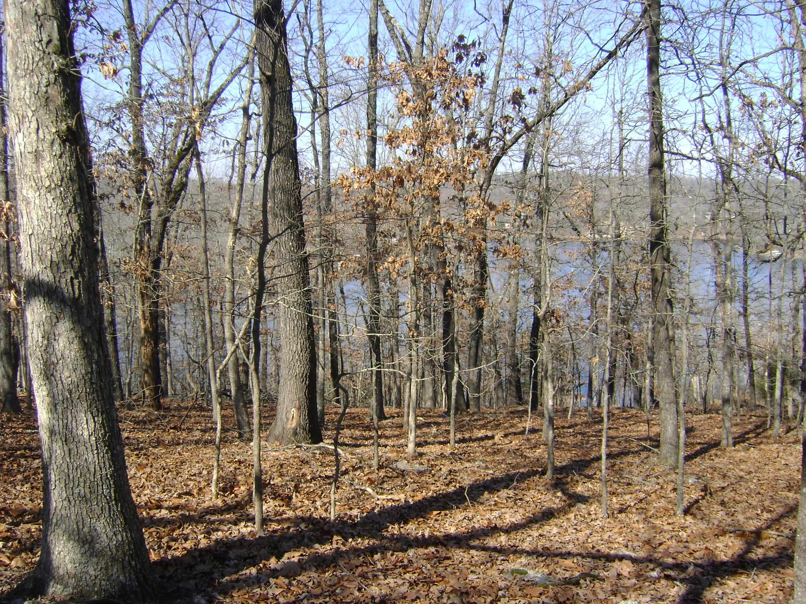 Photo 10 - Vacant Land for sale – 1301  View Park Circle   Horseshoe Bend, AR