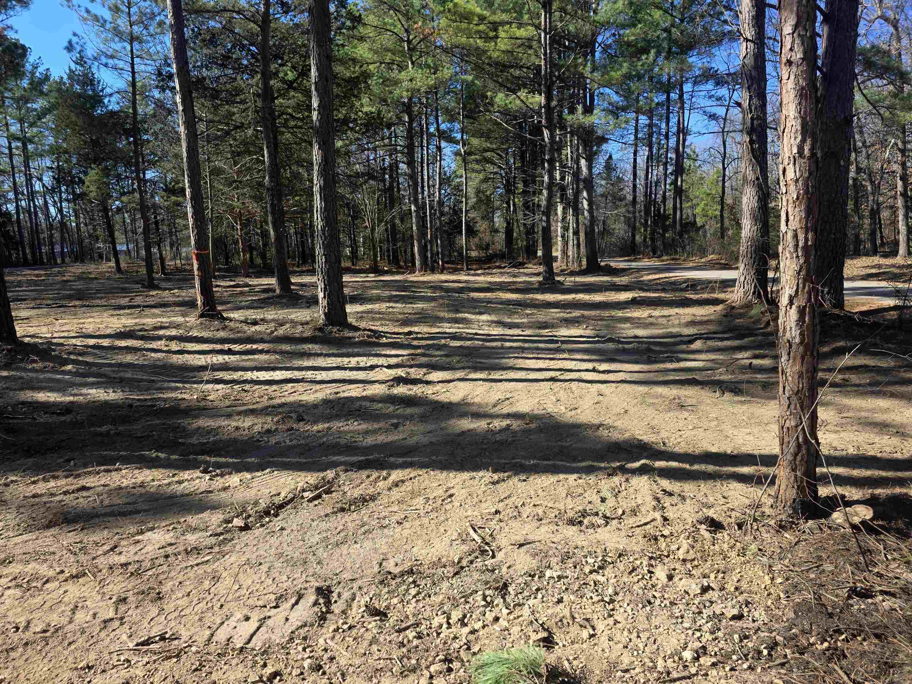 Photo 11 - Residential for sale – 22  Tonsue   Cherokee Village, AR