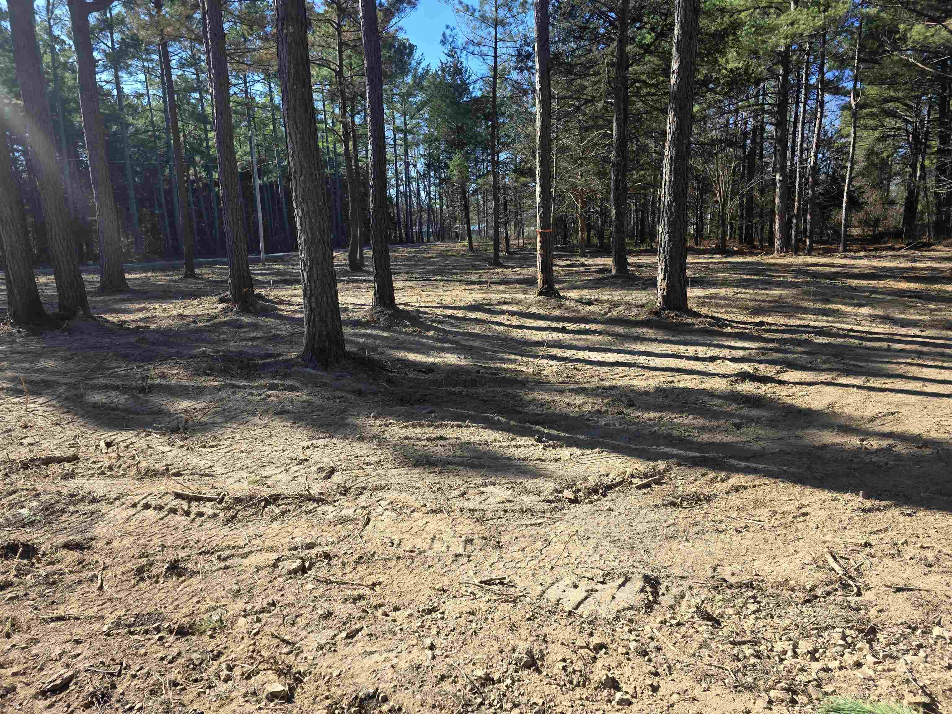 Photo 12 - Residential for sale – 22  Tonsue   Cherokee Village, AR