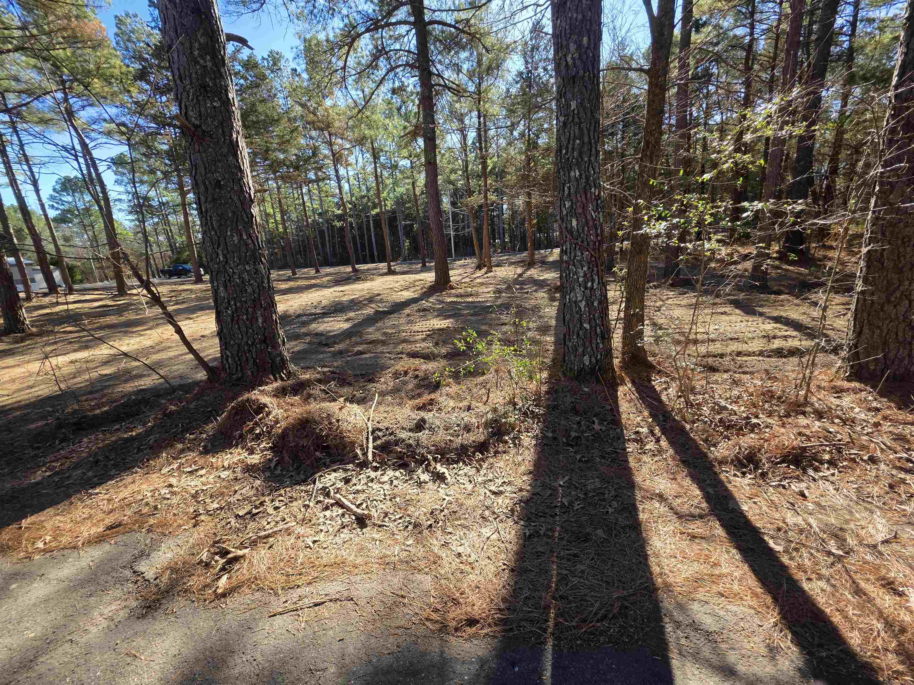 Photo 13 - Residential for sale – 22  Tonsue   Cherokee Village, AR