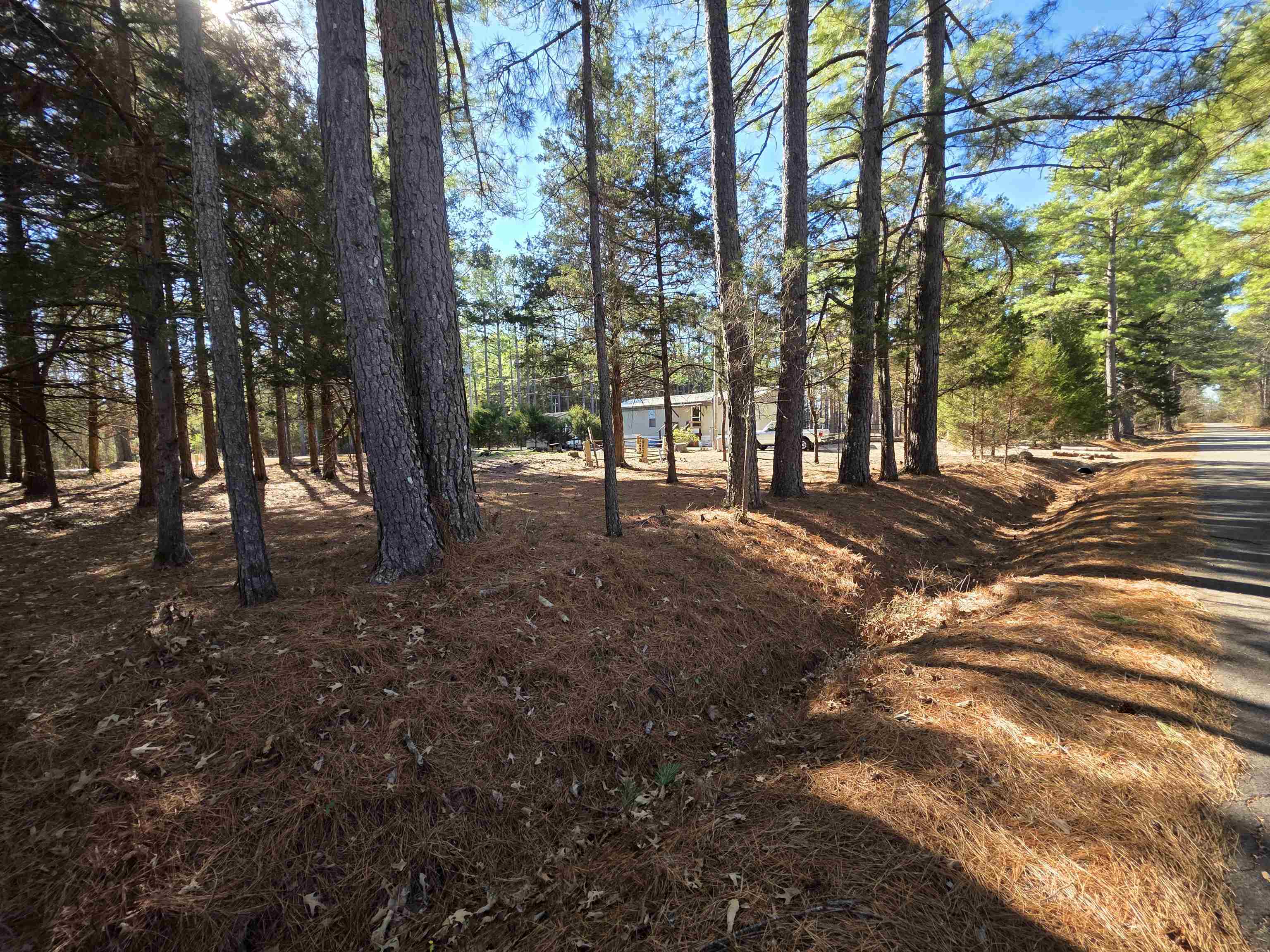 Photo 17 - Residential for sale – 22  Tonsue   Cherokee Village, AR