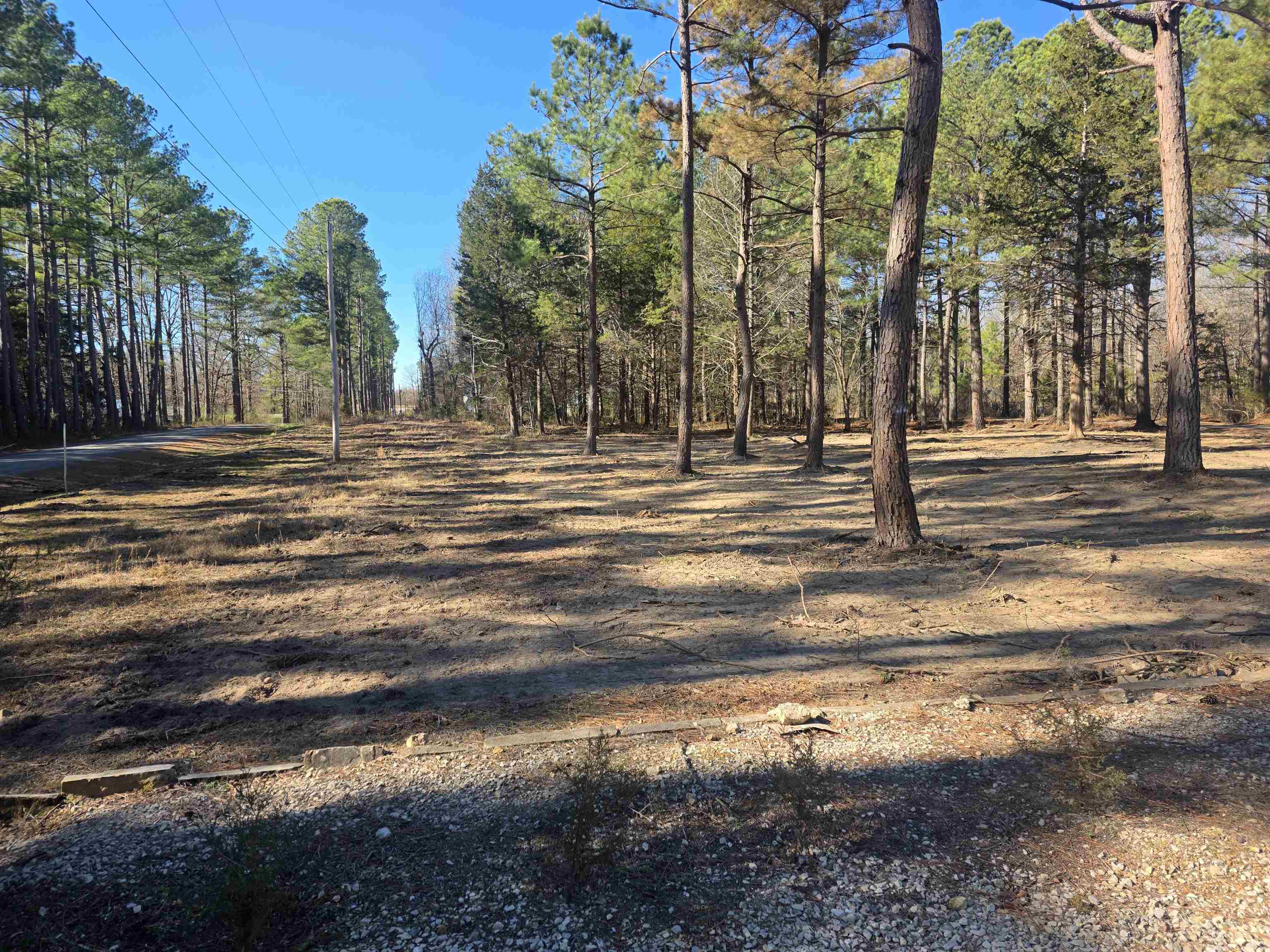 Photo 7 - Residential for sale – 22  Tonsue   Cherokee Village, AR