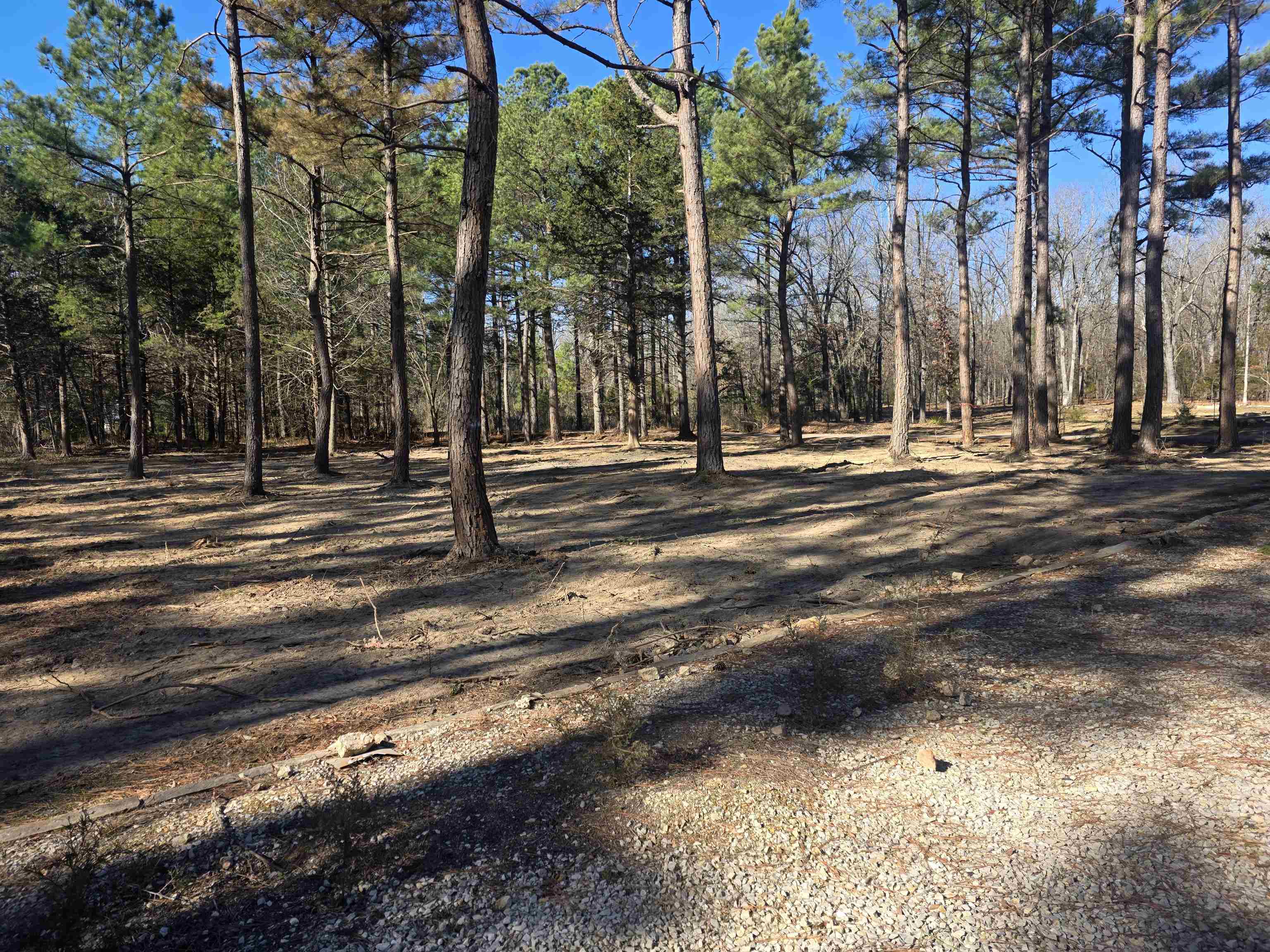 Photo 8 - Residential for sale – 22  Tonsue   Cherokee Village, AR