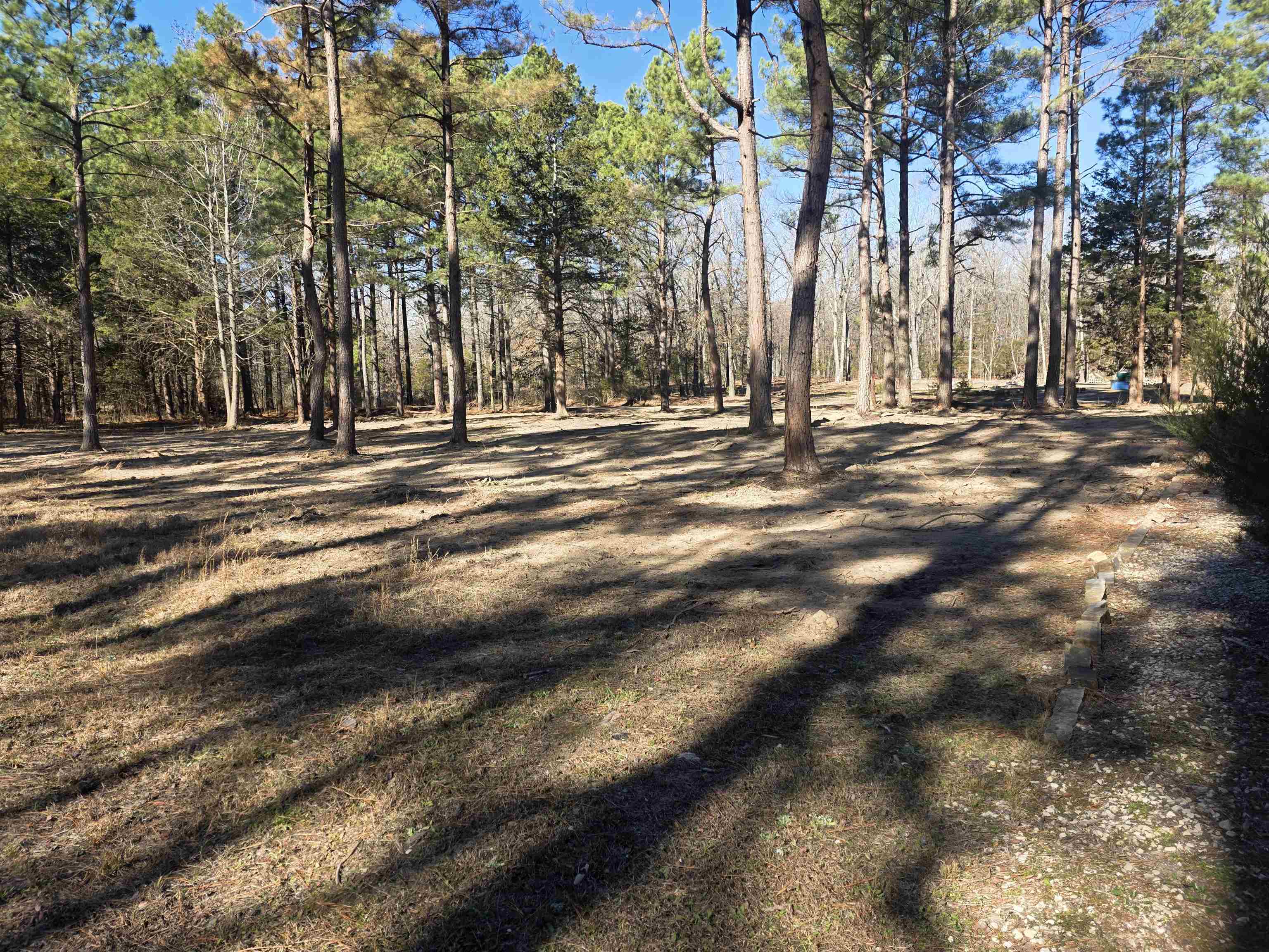 Photo 9 - Residential for sale – 22  Tonsue   Cherokee Village, AR