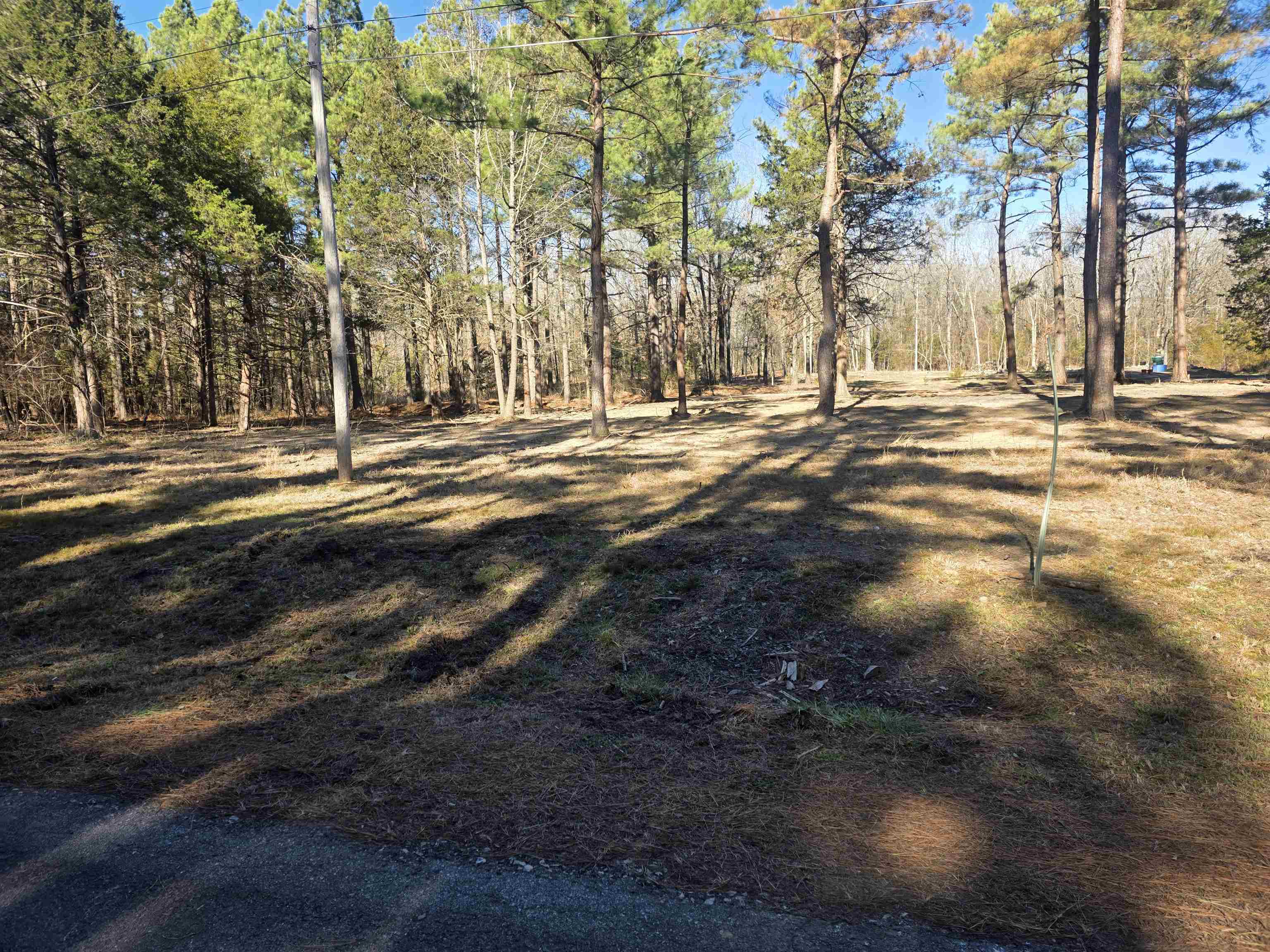 Photo 10 - Residential for sale – 22  Tonsue   Cherokee Village, AR