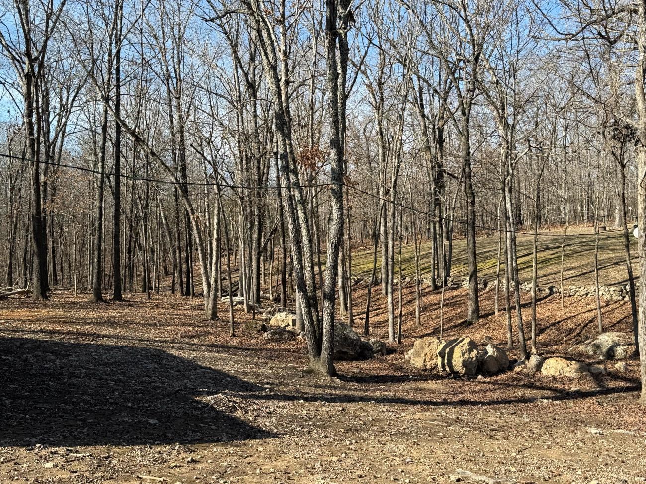 Photo 5 - Residential for sale – 637  Hwy 63   Williford, AR