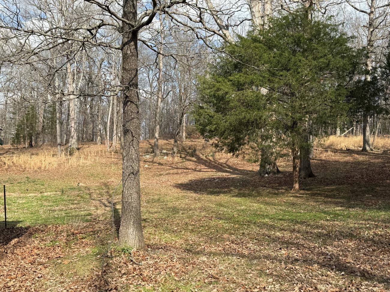 Photo 11 - Residential for sale – 298  Hwy 63   Ravenden, AR