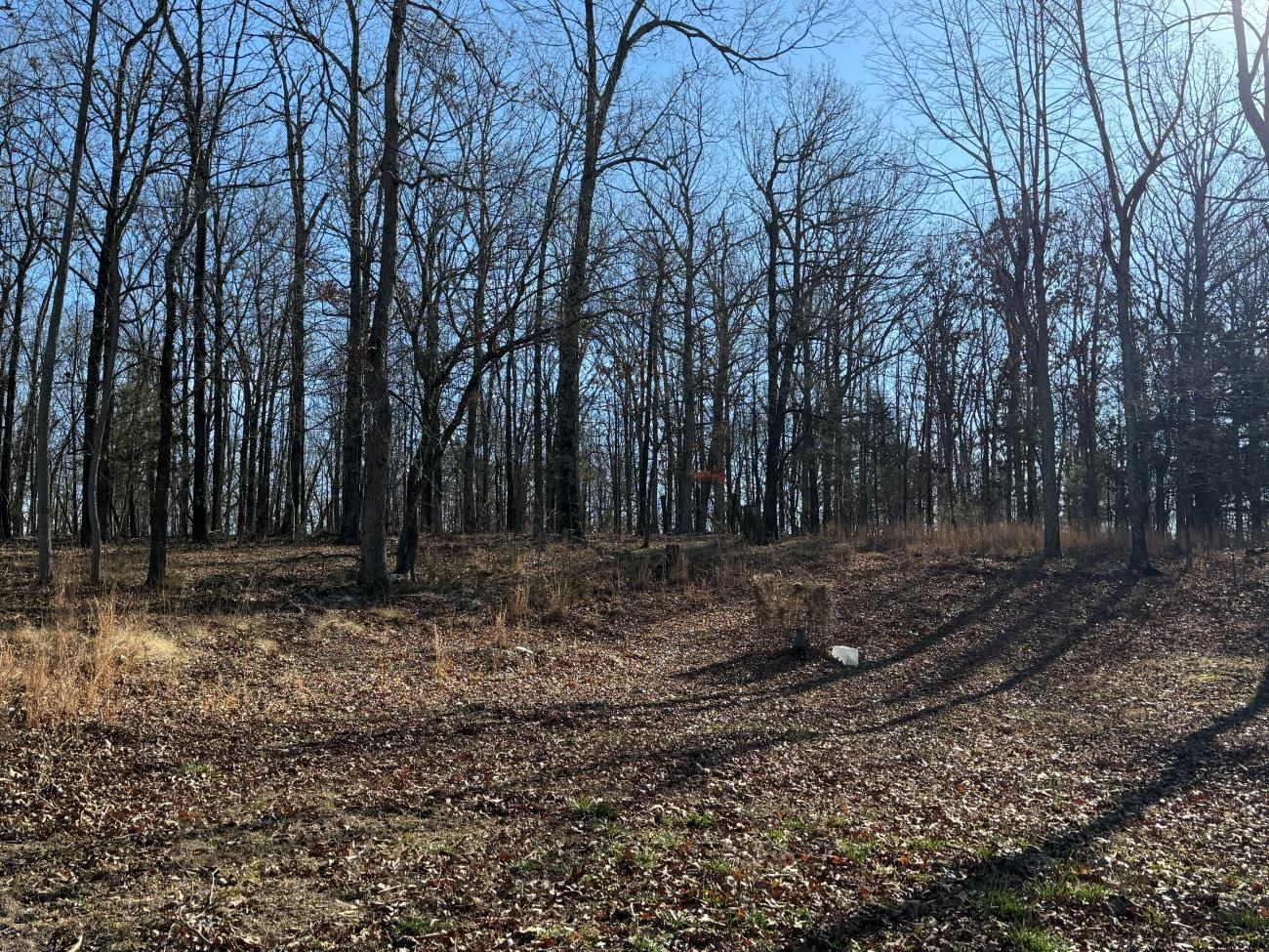 Photo 13 - Residential for sale – 298  Hwy 63   Ravenden, AR