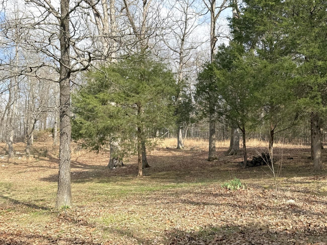 Photo 18 - Residential for sale – 298  Hwy 63   Ravenden, AR