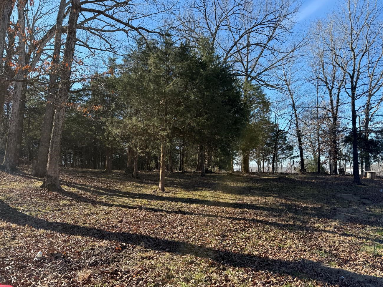 Photo 6 - Residential for sale – 298  Hwy 63   Ravenden, AR