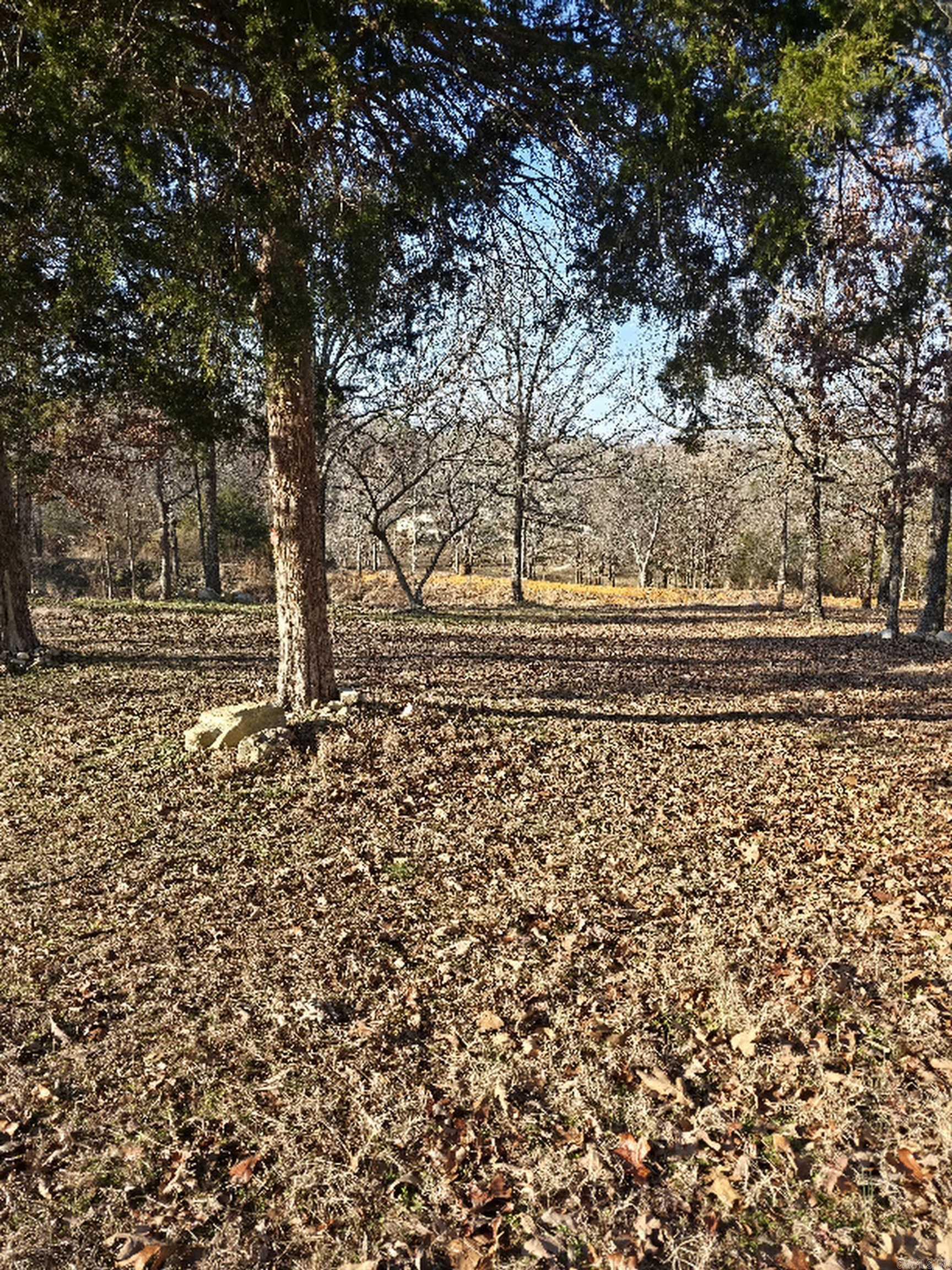 Photo 18 - Residential for sale – 53  Helm Rd   Oxford, AR