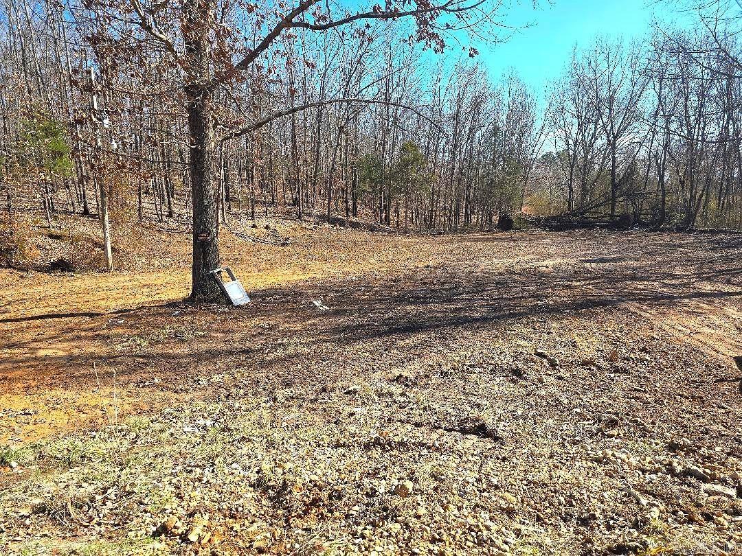 Photo 3 - Vacant Land for sale – 135  Franks   Batesville, AR