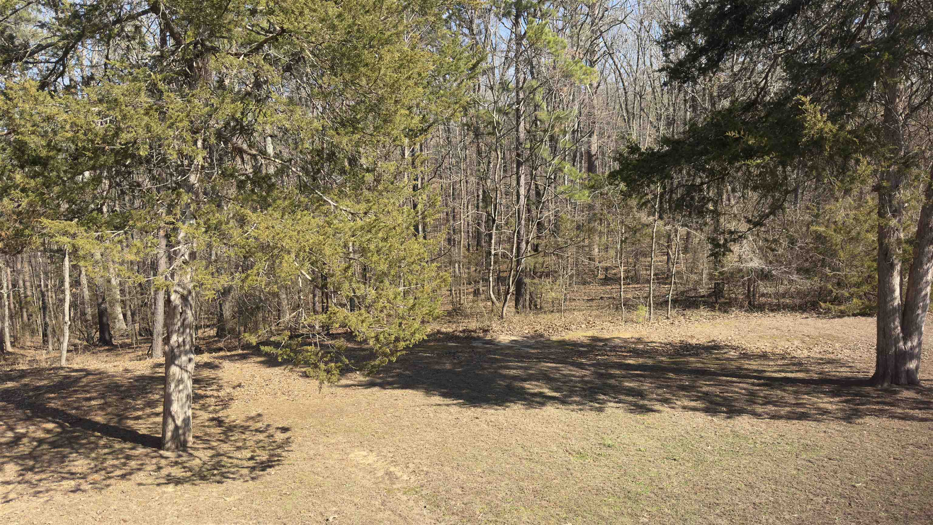 Photo 26 - Residential for sale – 1585  Knob Creek Road   Melbourne, AR