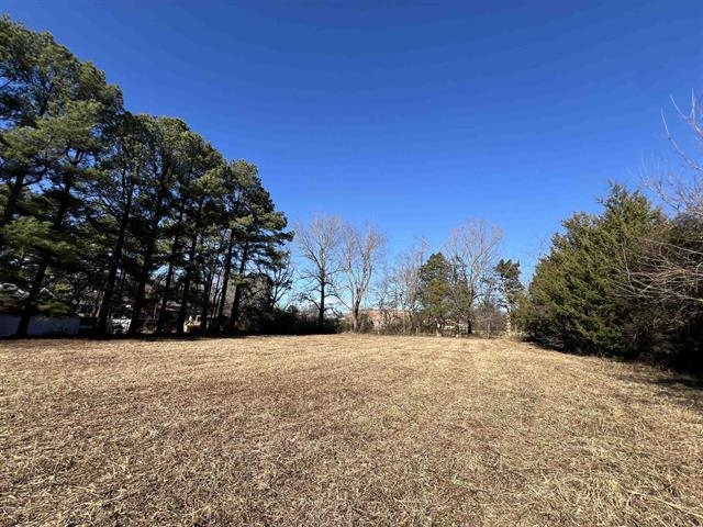 Photo 3 - Vacant Land for sale – xxx E Main   Ash Flat, AR