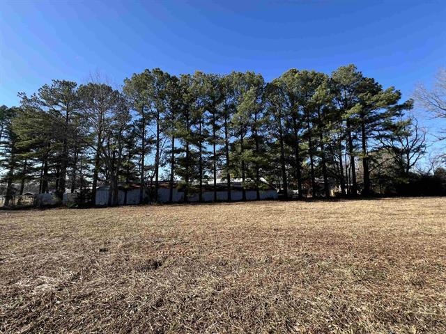 Photo 5 - Vacant Land for sale – xxx E Main   Ash Flat, AR
