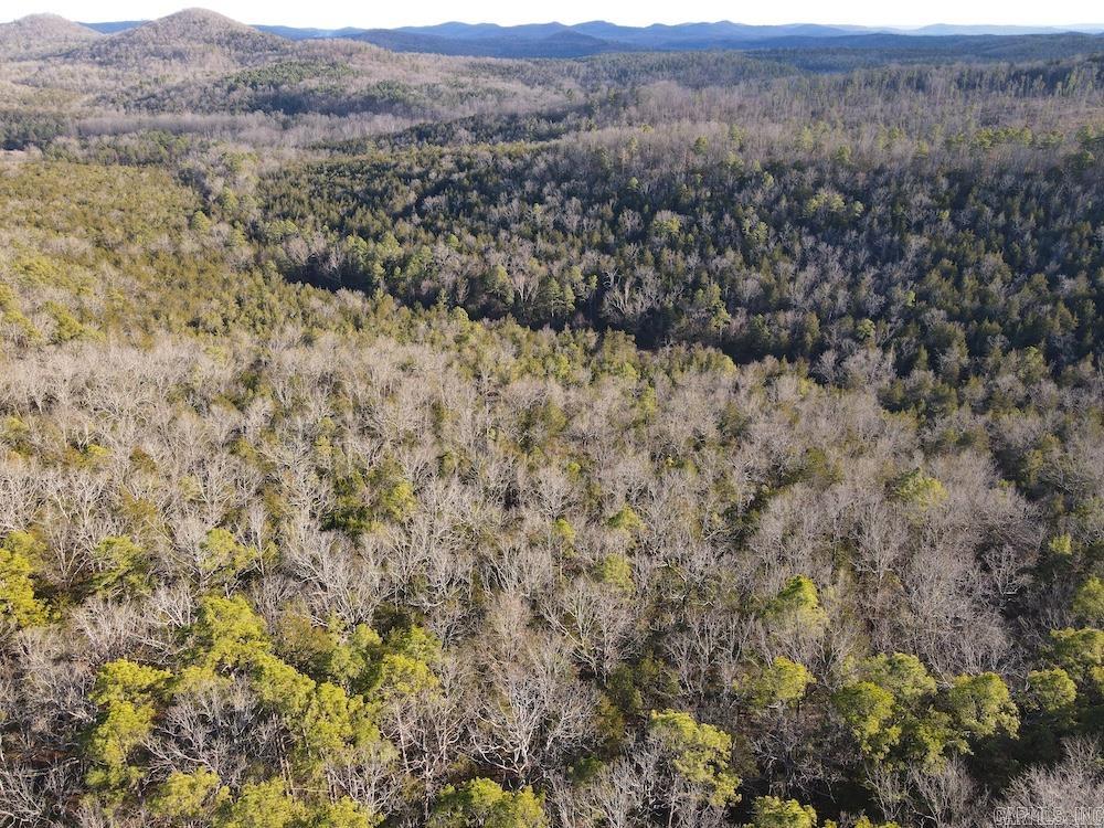 Photo 33 - Residential for sale – 738  Sunnyland Road   Calico Rock, AR