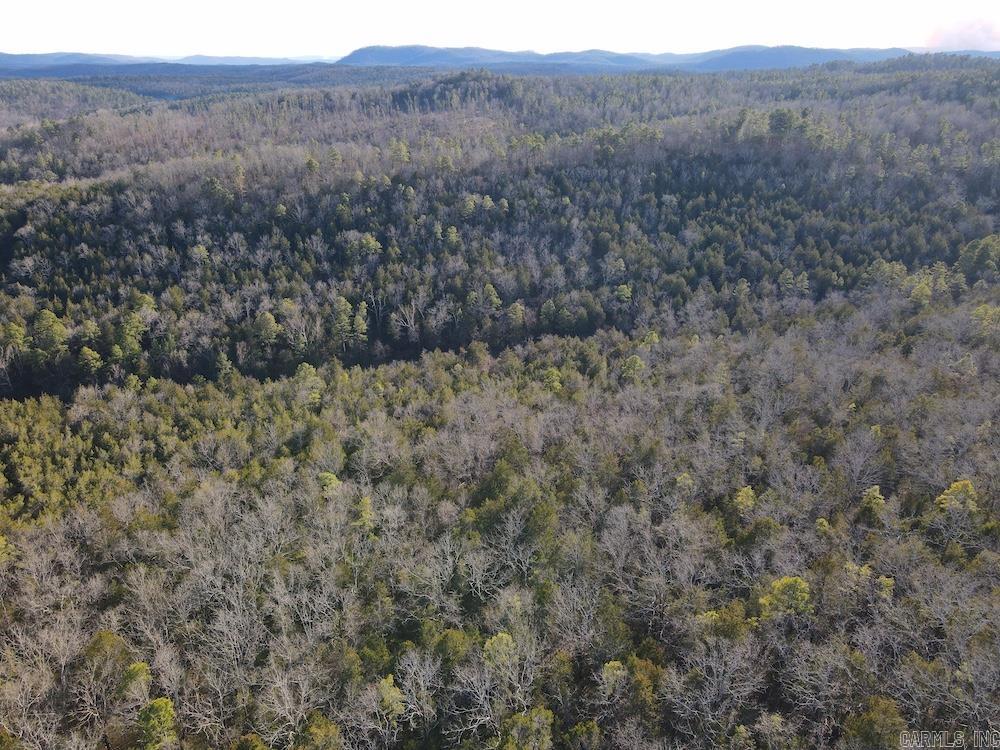 Photo 35 - Residential for sale – 738  Sunnyland Road   Calico Rock, AR