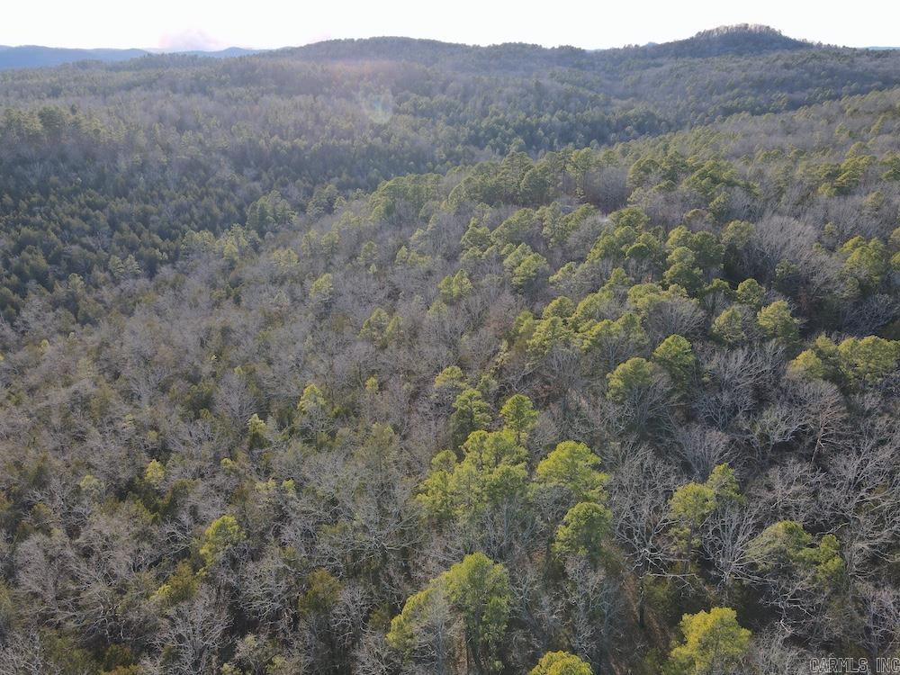 Photo 36 - Residential for sale – 738  Sunnyland Road   Calico Rock, AR