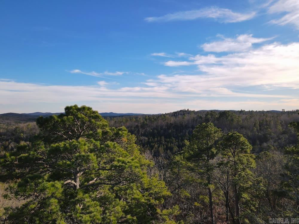 Photo 5 - Residential for sale – 738  Sunnyland Road   Calico Rock, AR