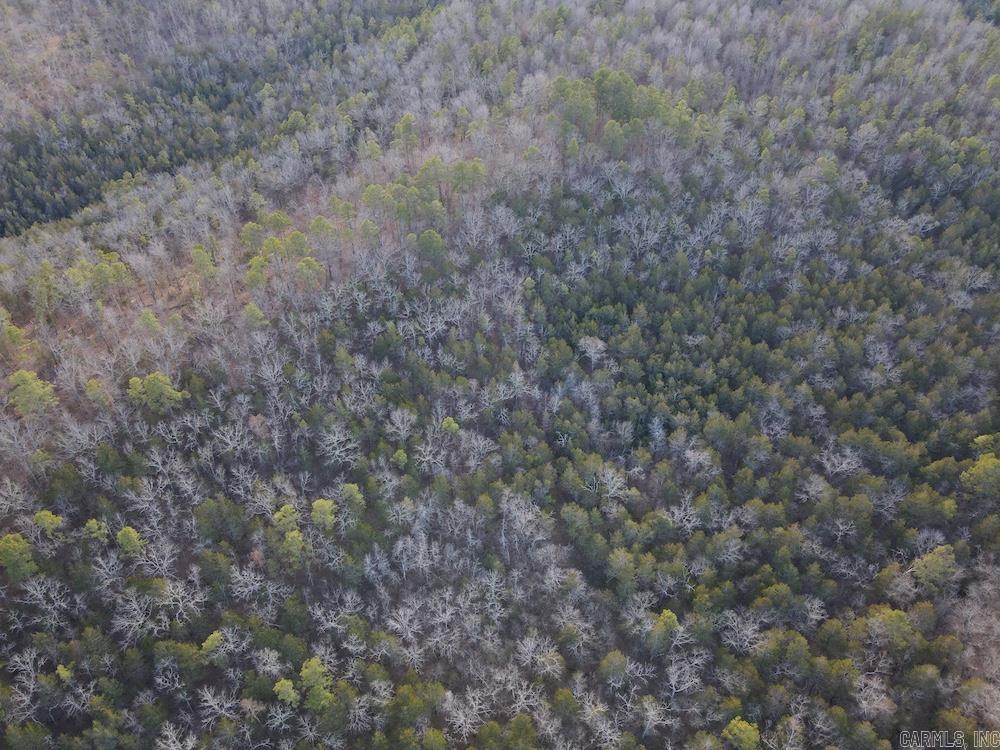 Photo 48 - Residential for sale – 738  Sunnyland Road   Calico Rock, AR