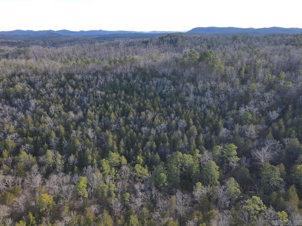 Photo 6 - Residential for sale – 738  Sunnyland Road   Calico Rock, AR