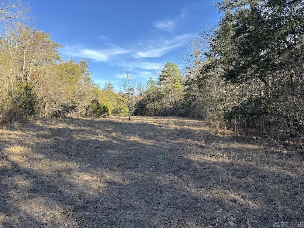 Photo 7 - Residential for sale – 738  Sunnyland Road   Calico Rock, AR