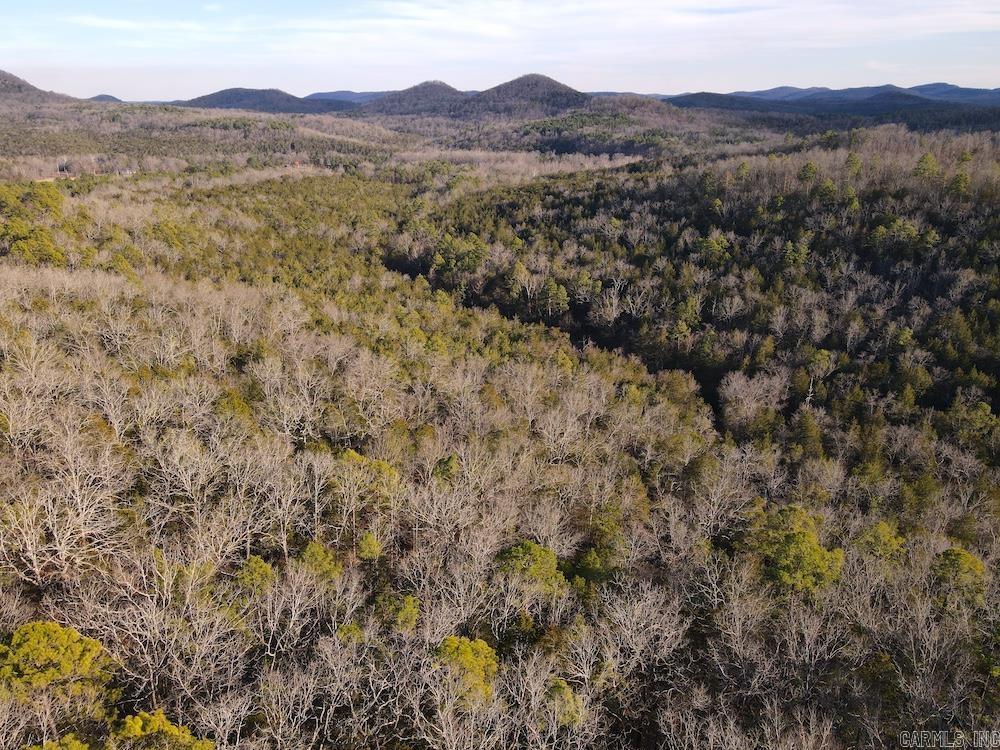 Photo 8 - Residential for sale – 738  Sunnyland Road   Calico Rock, AR