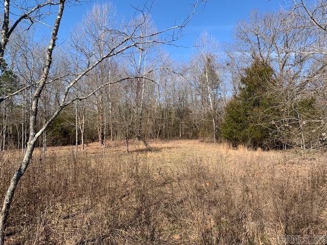 Photo 2 - Residential for sale – 531  Peter Martin Hill   Cave City, AR