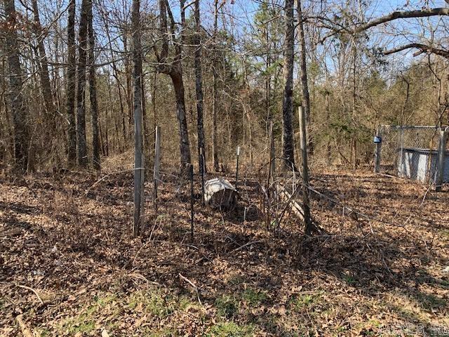 Photo 3 - Residential for sale – 531  Peter Martin Hill   Cave City, AR