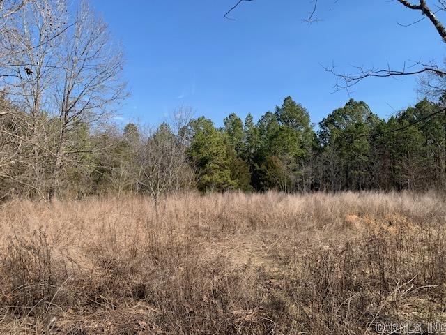 Photo 6 - Residential for sale – 531  Peter Martin Hill   Cave City, AR