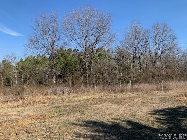 Photo 7 - Residential for sale – 531  Peter Martin Hill   Cave City, AR