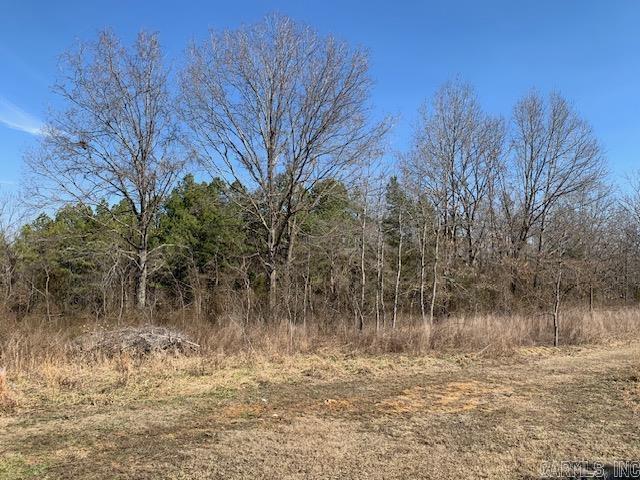 Photo 8 - Residential for sale – 531  Peter Martin Hill   Cave City, AR