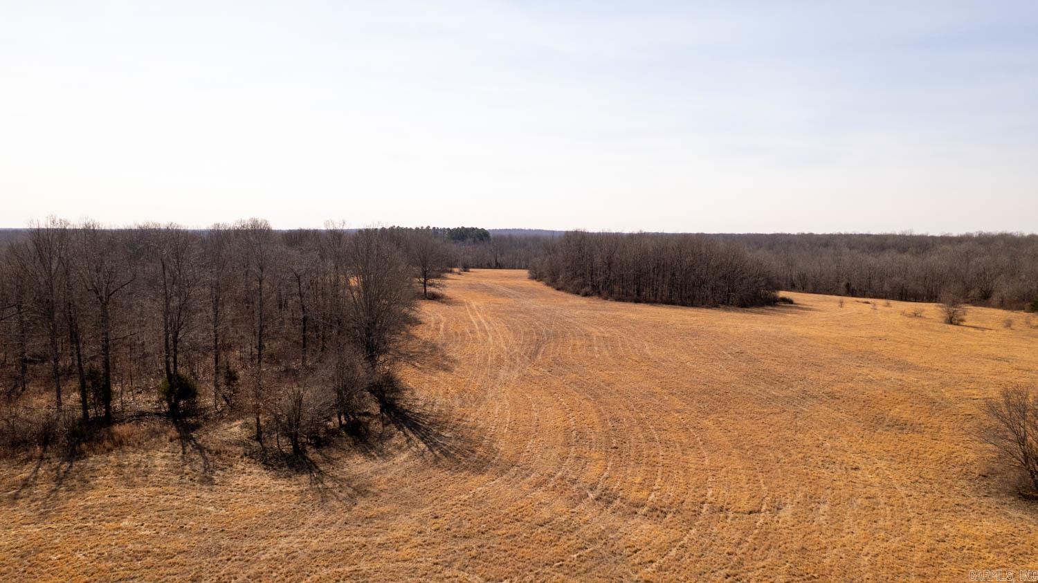 Photo 17 - Vacant Land for sale – 000  Pleasant Run Road   Mammoth Spring, AR