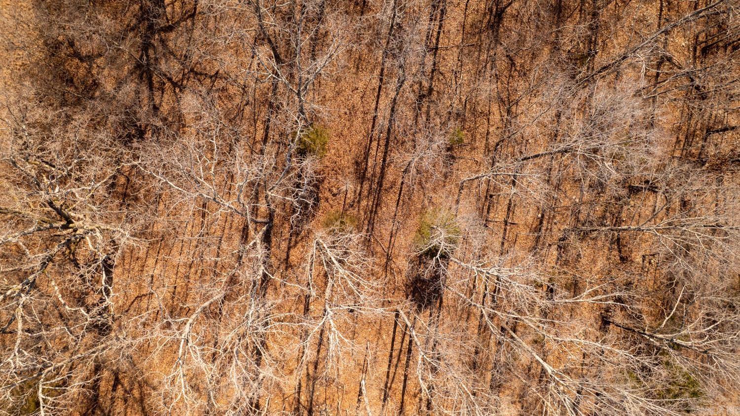 Photo 28 - Vacant Land for sale – 000  Pleasant Run Road   Mammoth Spring, AR