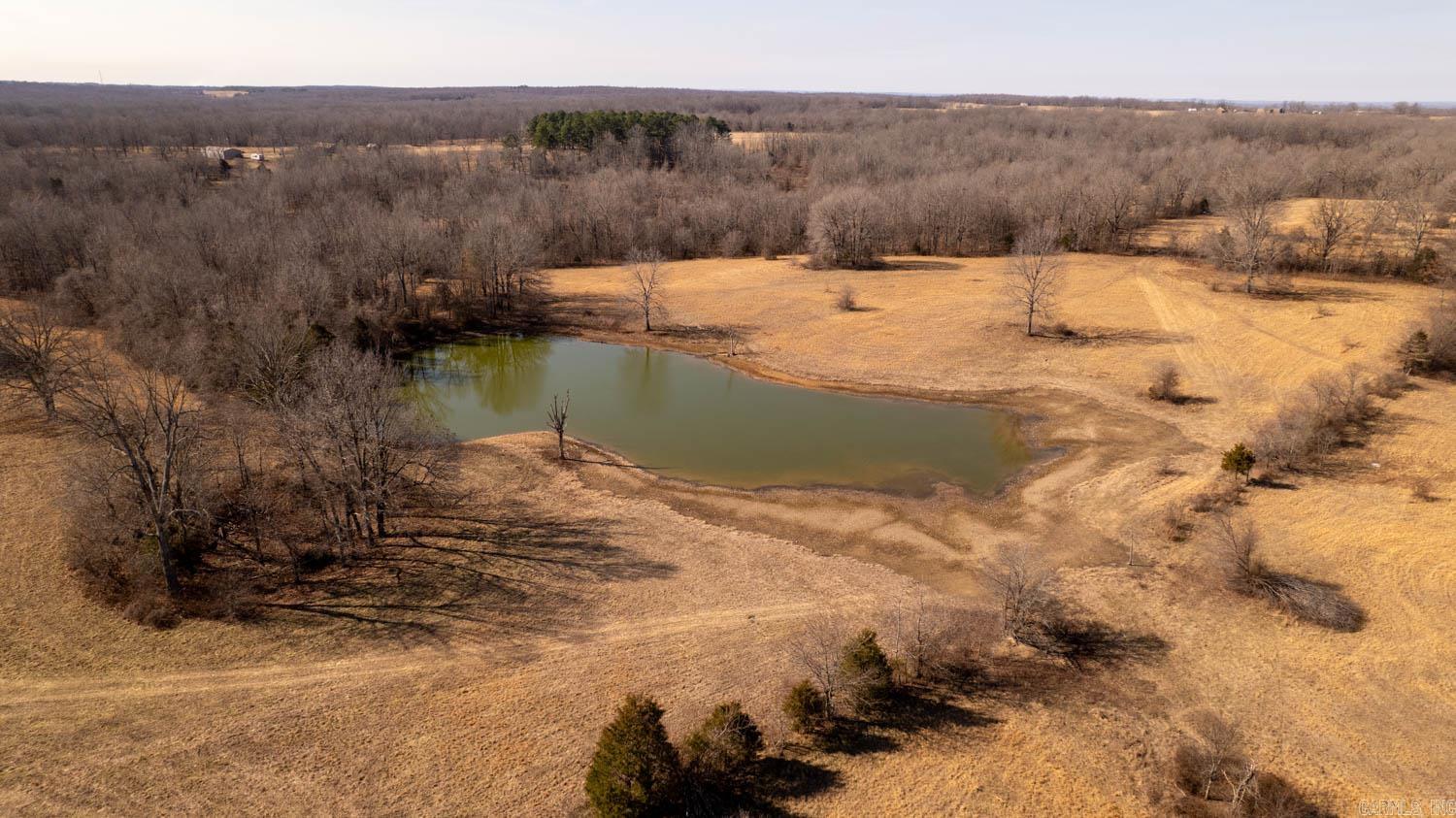 Photo 4 - Vacant Land for sale – 000  Pleasant Run Road   Mammoth Spring, AR