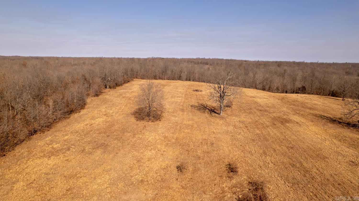 Photo 38 - Vacant Land for sale – 000  Pleasant Run Road   Mammoth Spring, AR