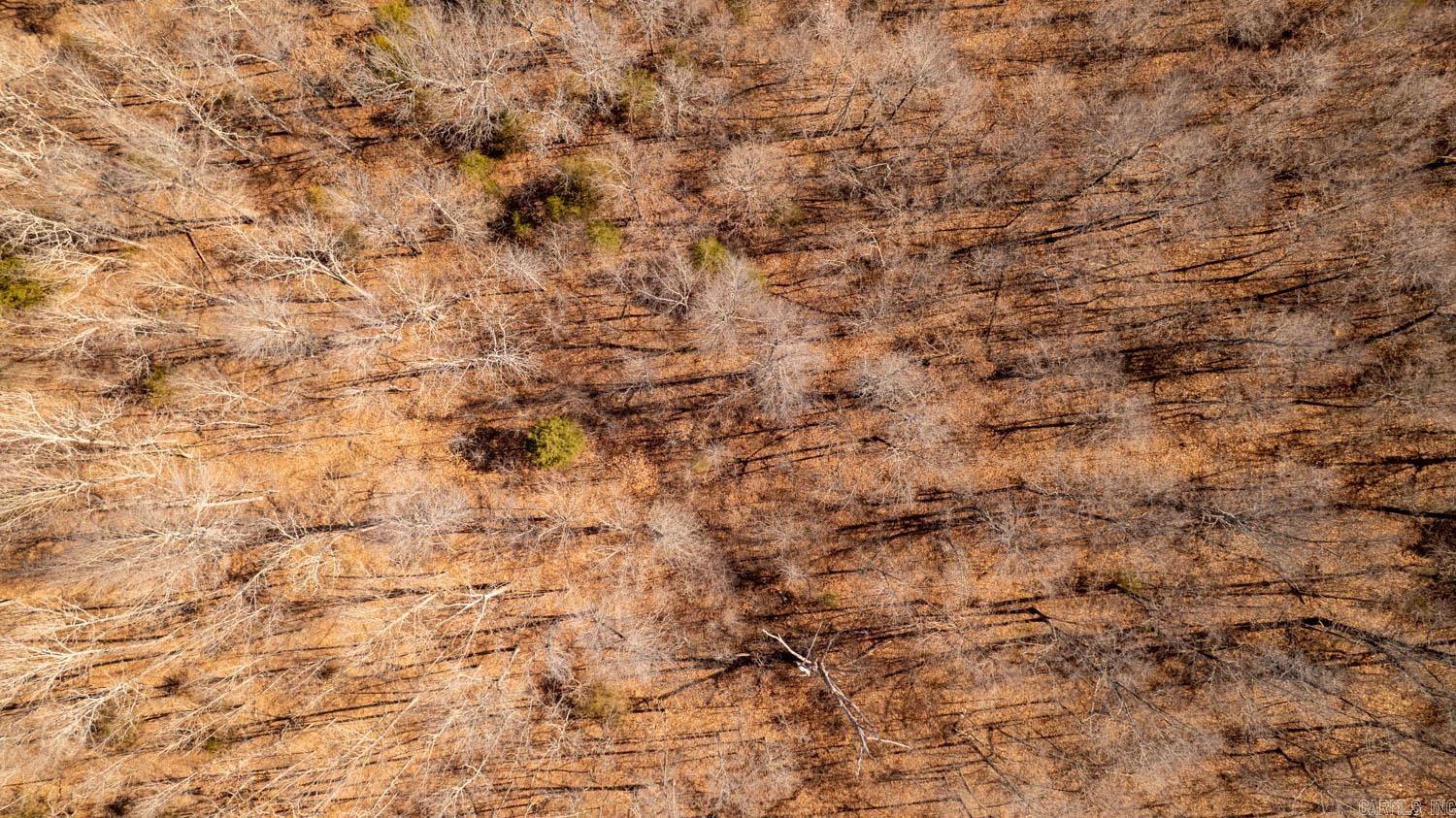 Photo 40 - Vacant Land for sale – 000  Pleasant Run Road   Mammoth Spring, AR