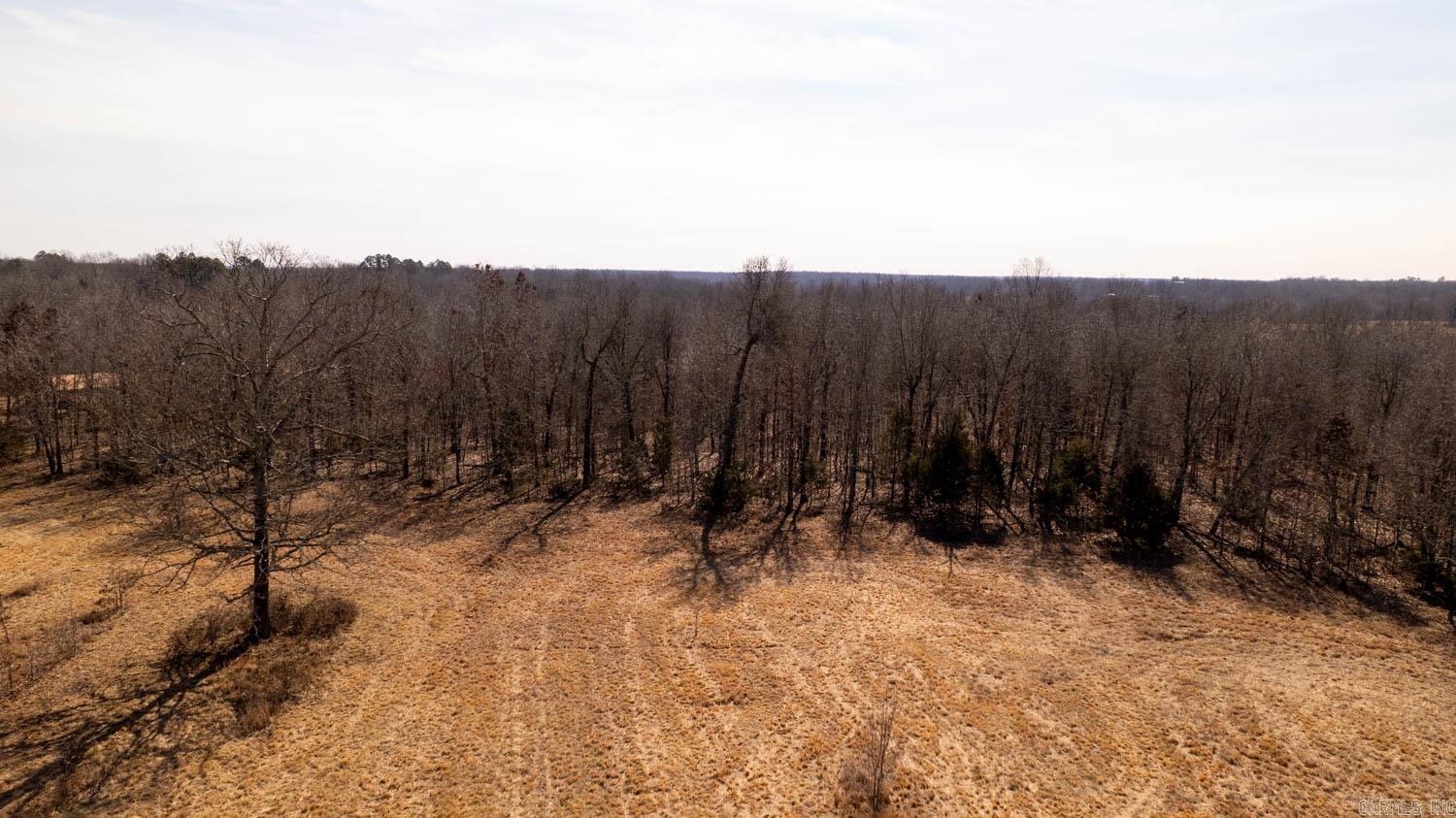 Photo 42 - Vacant Land for sale – 000  Pleasant Run Road   Mammoth Spring, AR