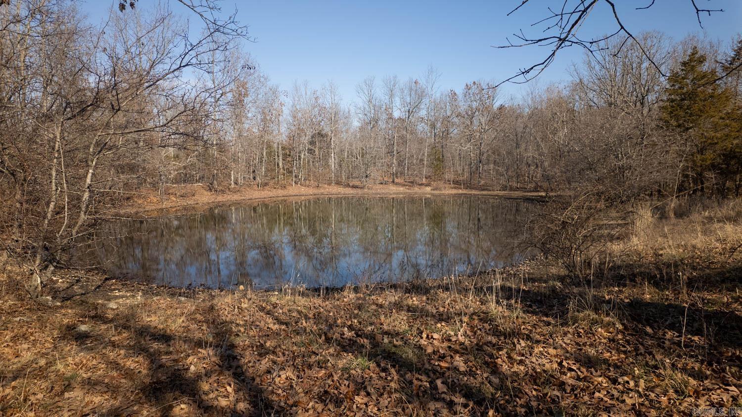 Photo 46 - Vacant Land for sale – 000  Pleasant Run Road   Mammoth Spring, AR