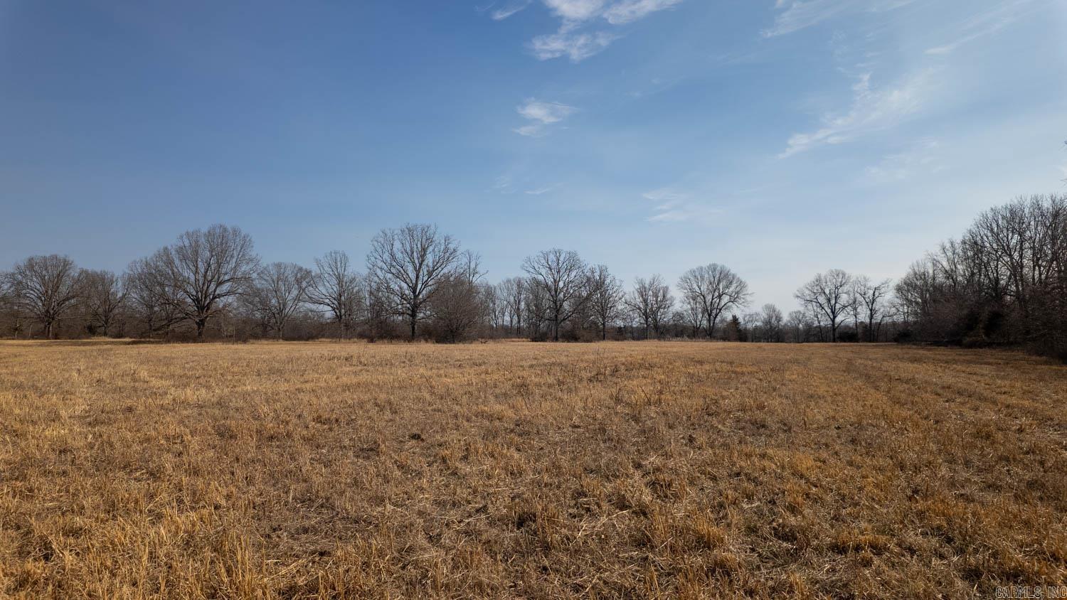 Photo 48 - Vacant Land for sale – 000  Pleasant Run Road   Mammoth Spring, AR