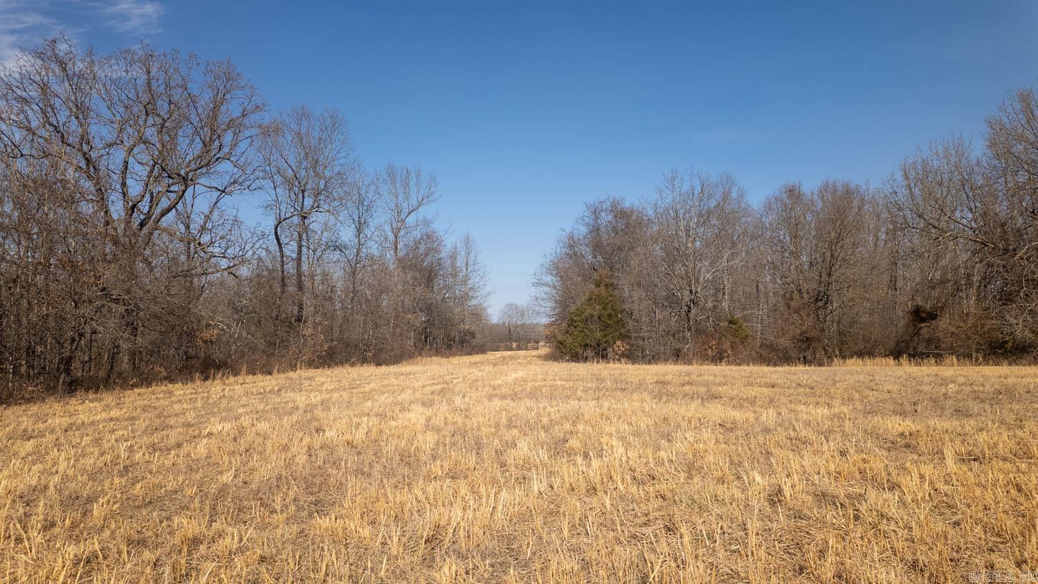 Photo 49 - Vacant Land for sale – 000  Pleasant Run Road   Mammoth Spring, AR