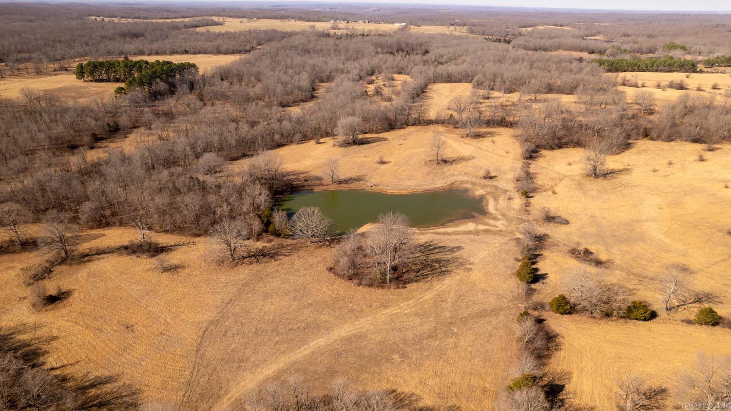 Photo 6 - Vacant Land for sale – 000  Pleasant Run Road   Mammoth Spring, AR