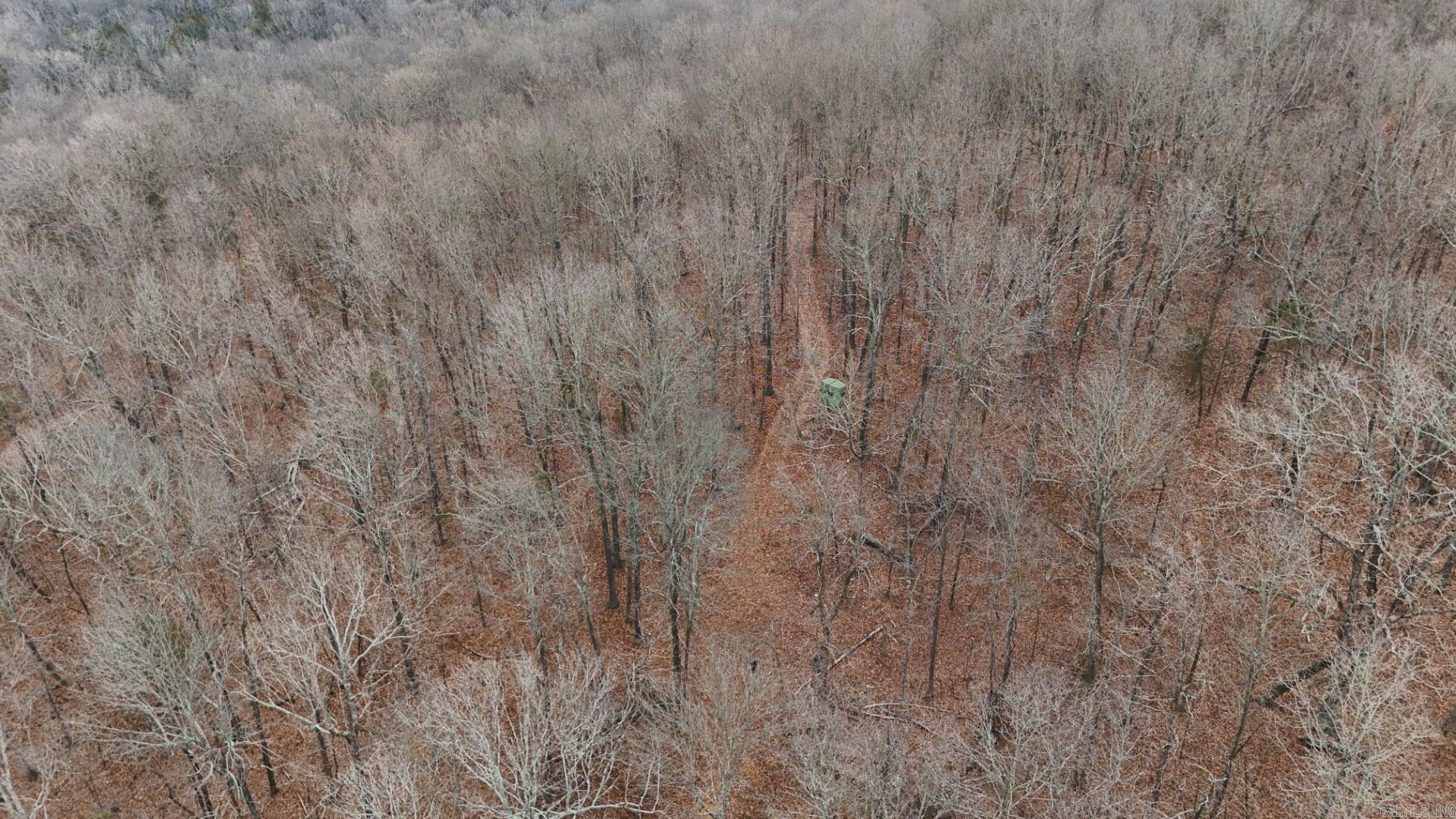 Photo 11 - Vacant Land for sale – 315  Northwoods   Cave City, AR