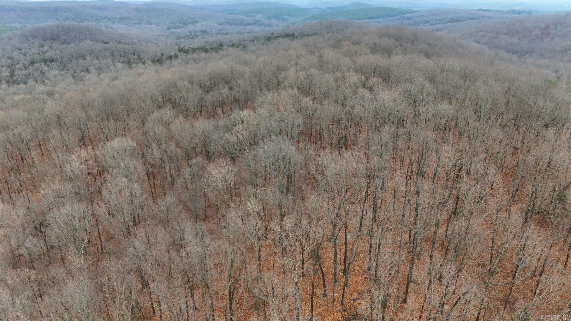 Photo 12 - Vacant Land for sale – 315  Northwoods   Cave City, AR