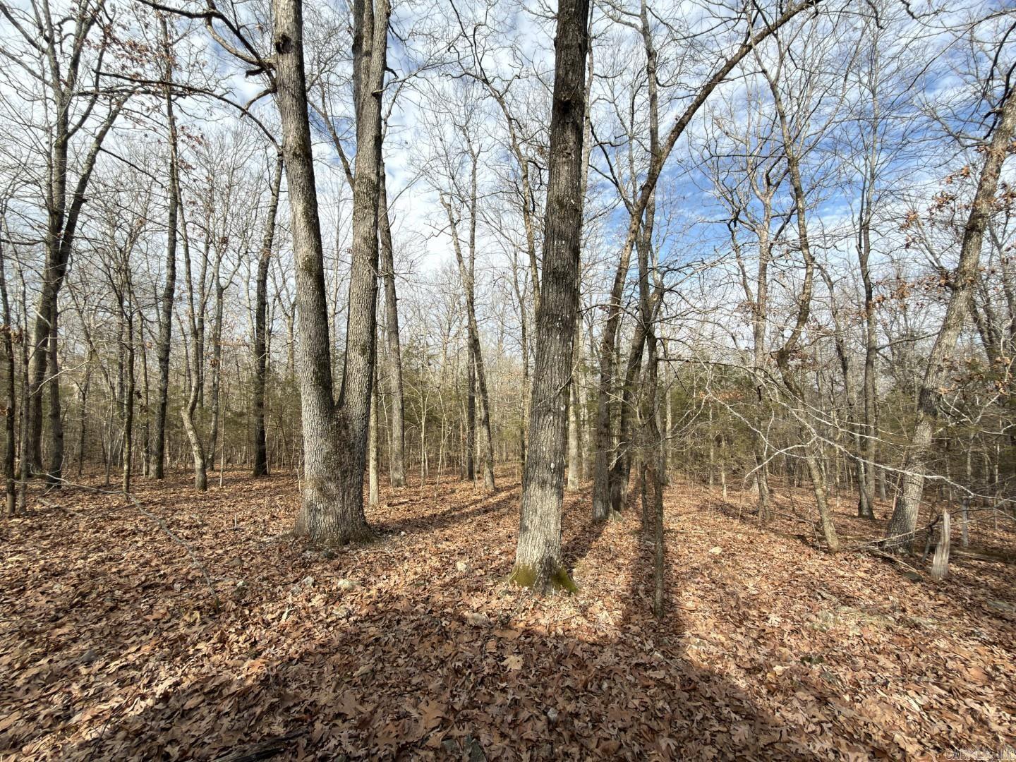 Photo 13 - Vacant Land for sale – 315  Northwoods   Cave City, AR