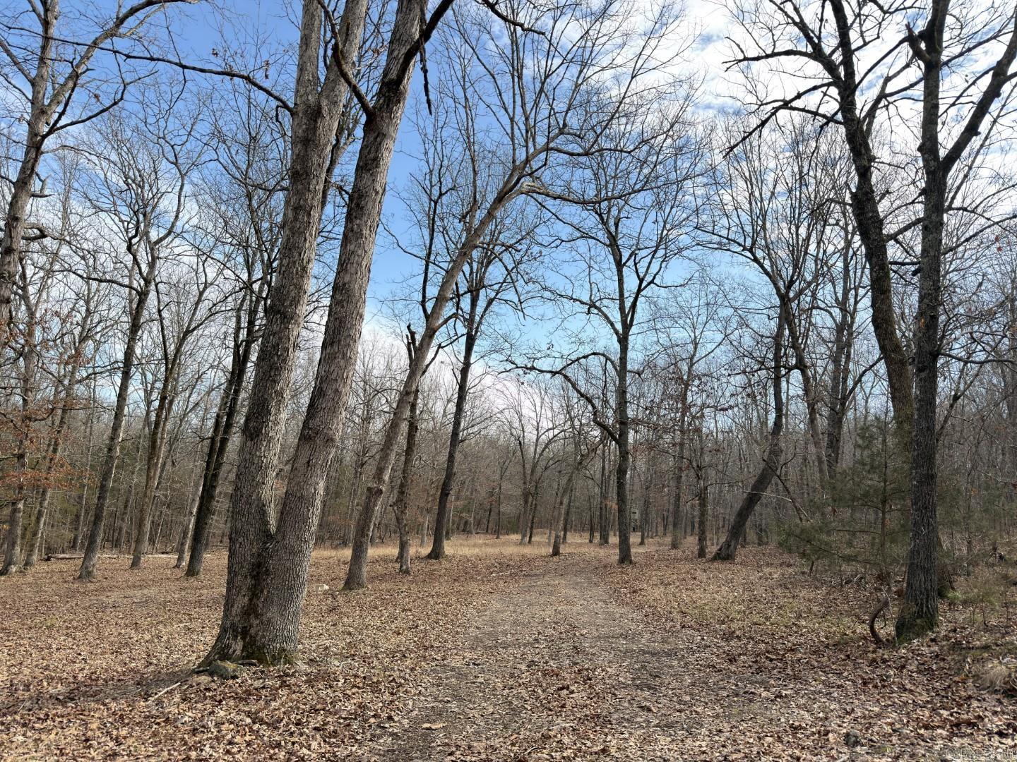 Photo 14 - Vacant Land for sale – 315  Northwoods   Cave City, AR