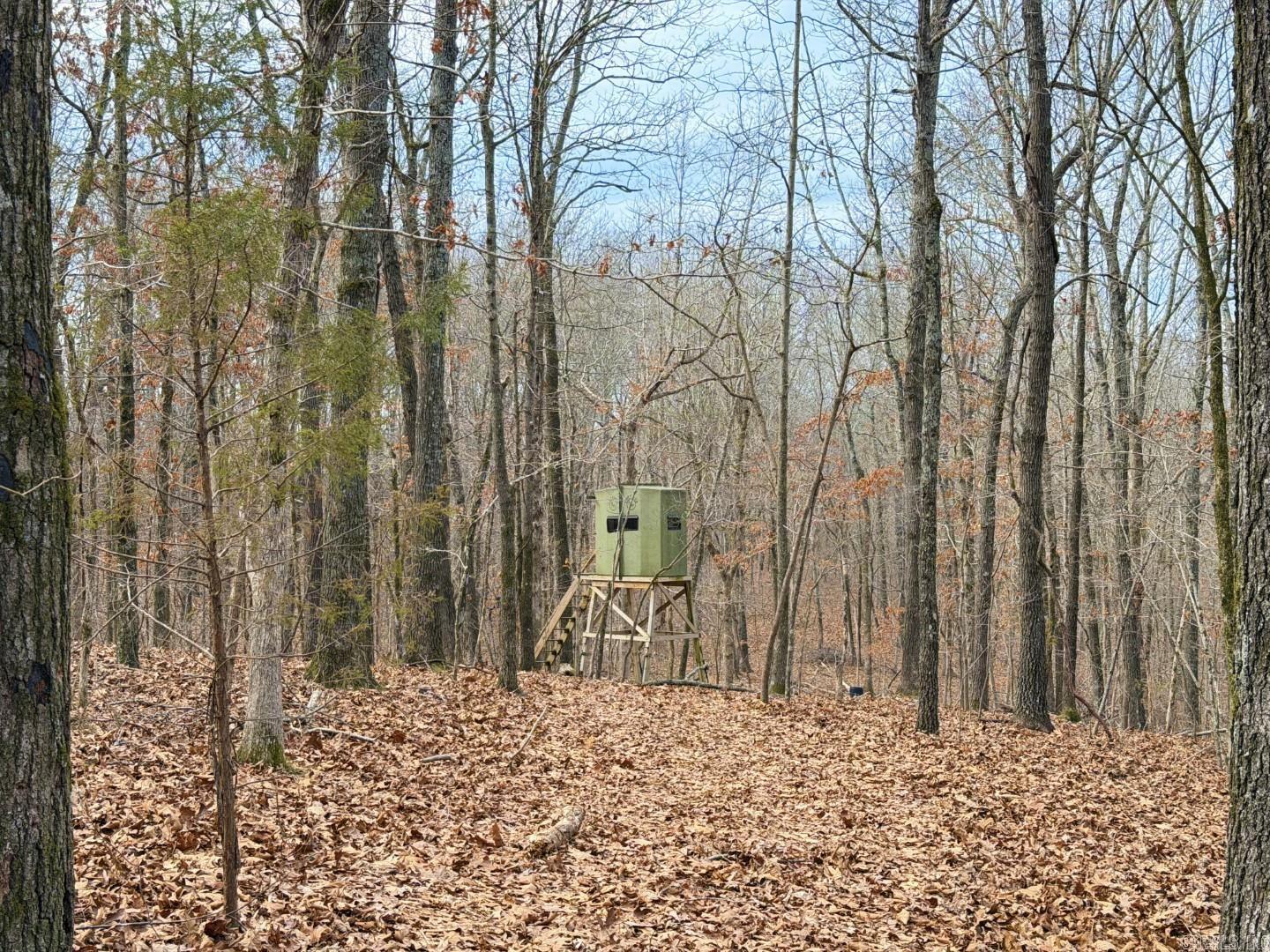 Photo 29 - Vacant Land for sale – 315  Northwoods   Cave City, AR