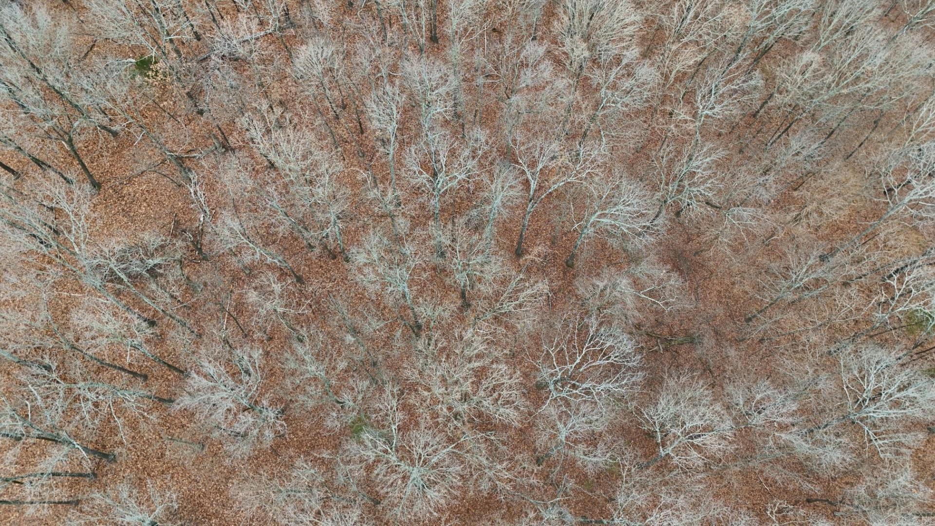 Photo 7 - Vacant Land for sale – 315  Northwoods   Cave City, AR