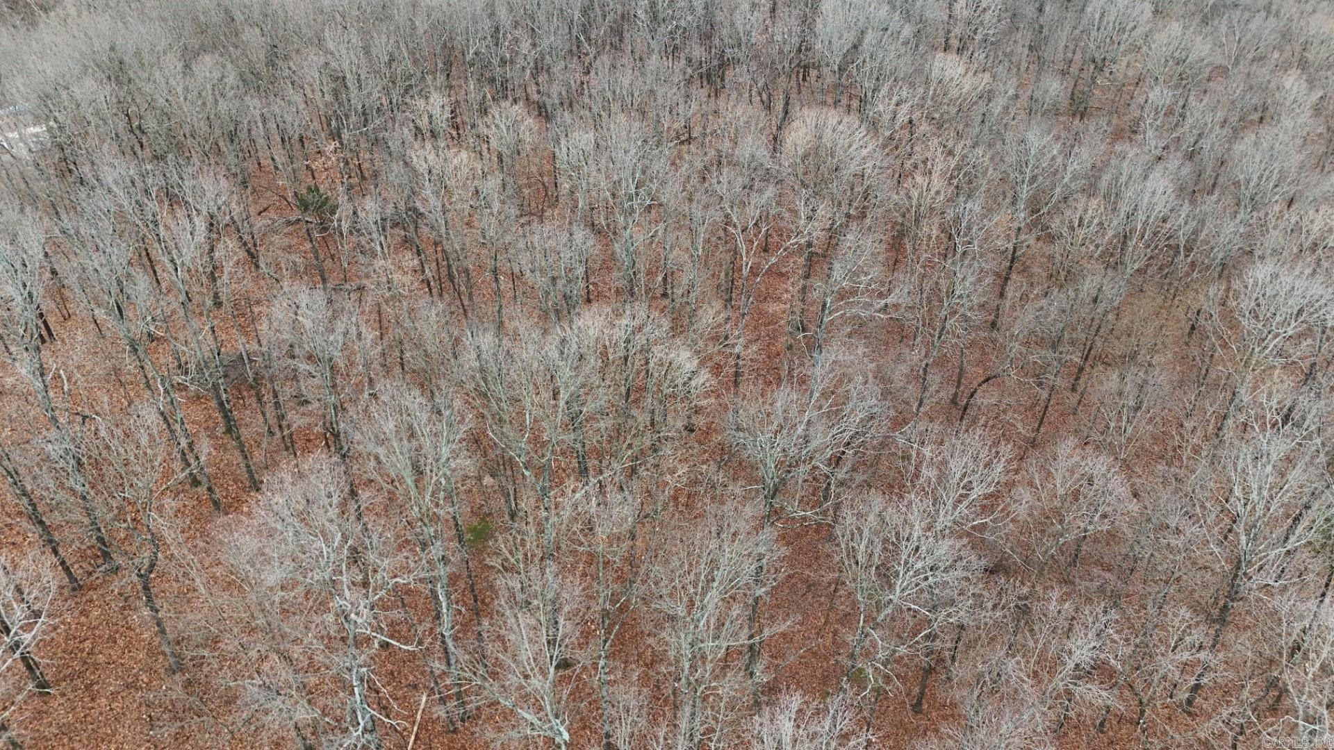 Photo 9 - Vacant Land for sale – 315  Northwoods   Cave City, AR